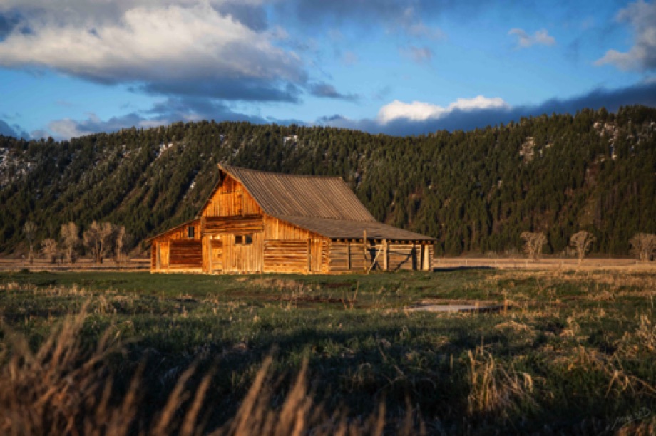 Golden Hour at Mormon Barn
Mormon Row, Yellowstone